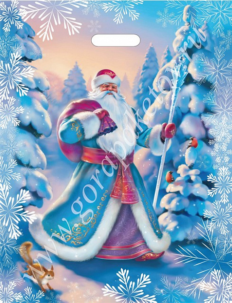 Сказочный Дед Мороз